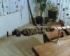Filename=waldisbg04.jpg
Filesize=307KB
Dimensions=600x480
Date added=Feb 11, 2008 waldisbg04.jpg
